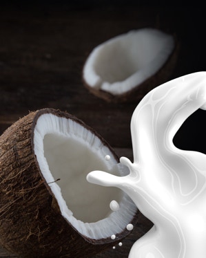 Organic Coconut