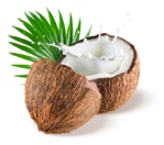 Organic coconut products