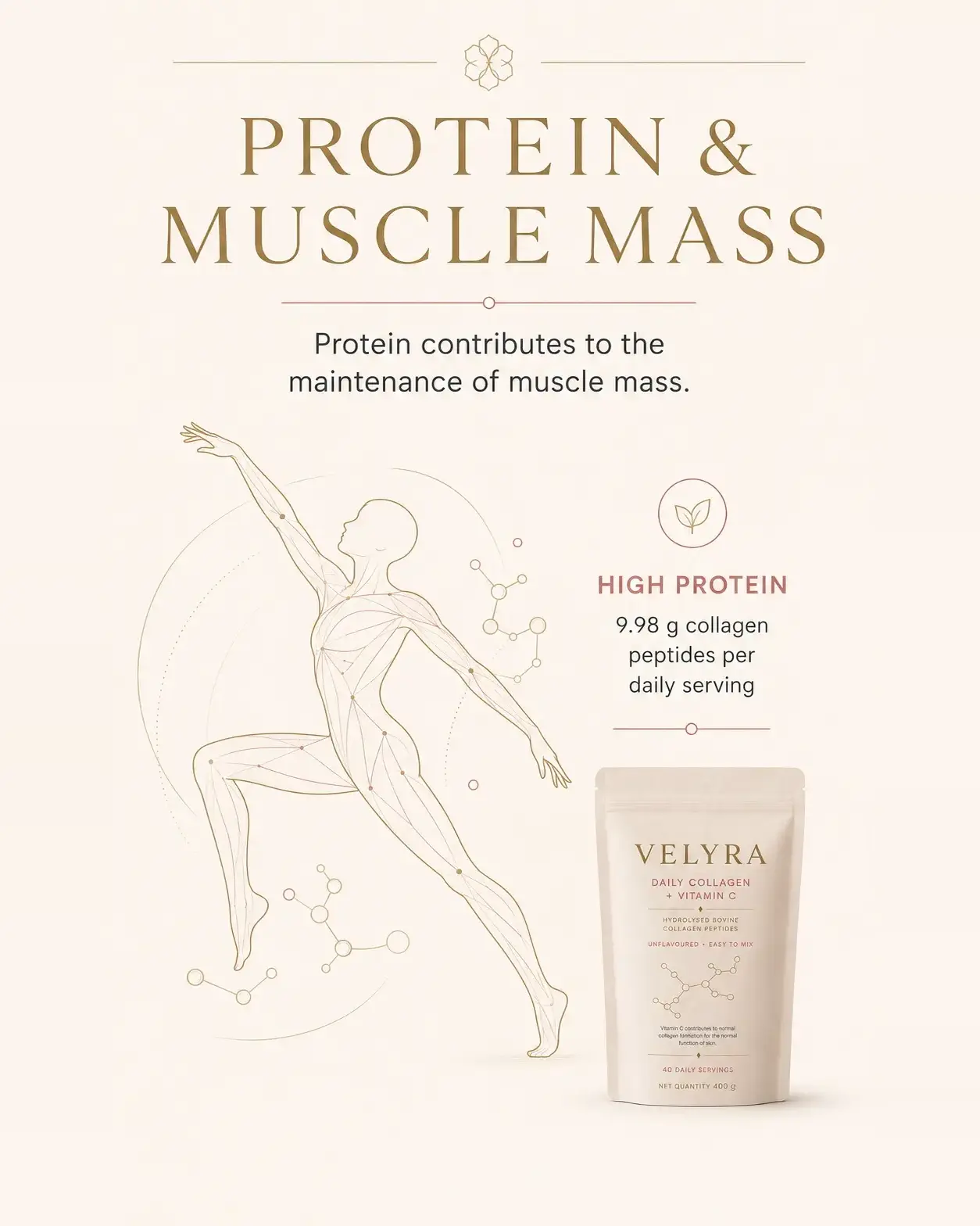 Protein and muscle mass infographic