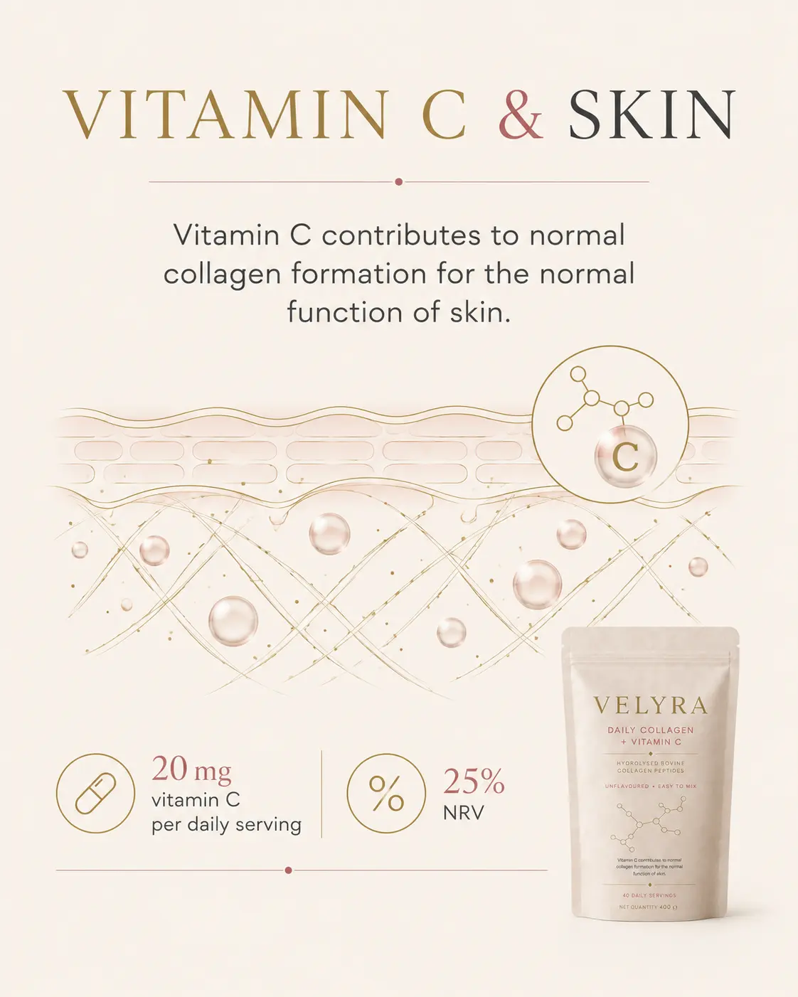 Vitamin C and normal collagen formation infographic